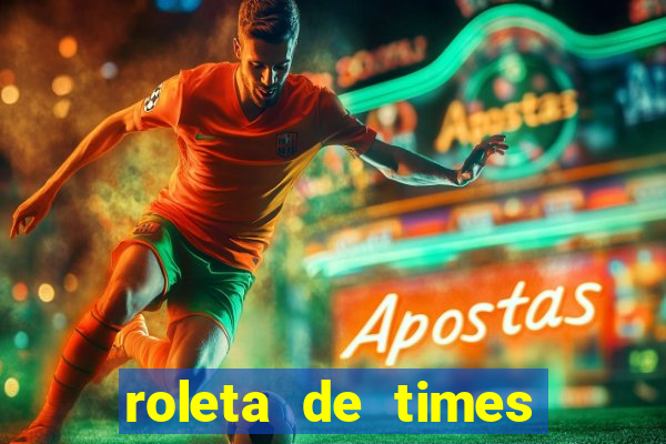 roleta de times brasileiros serie a 2024